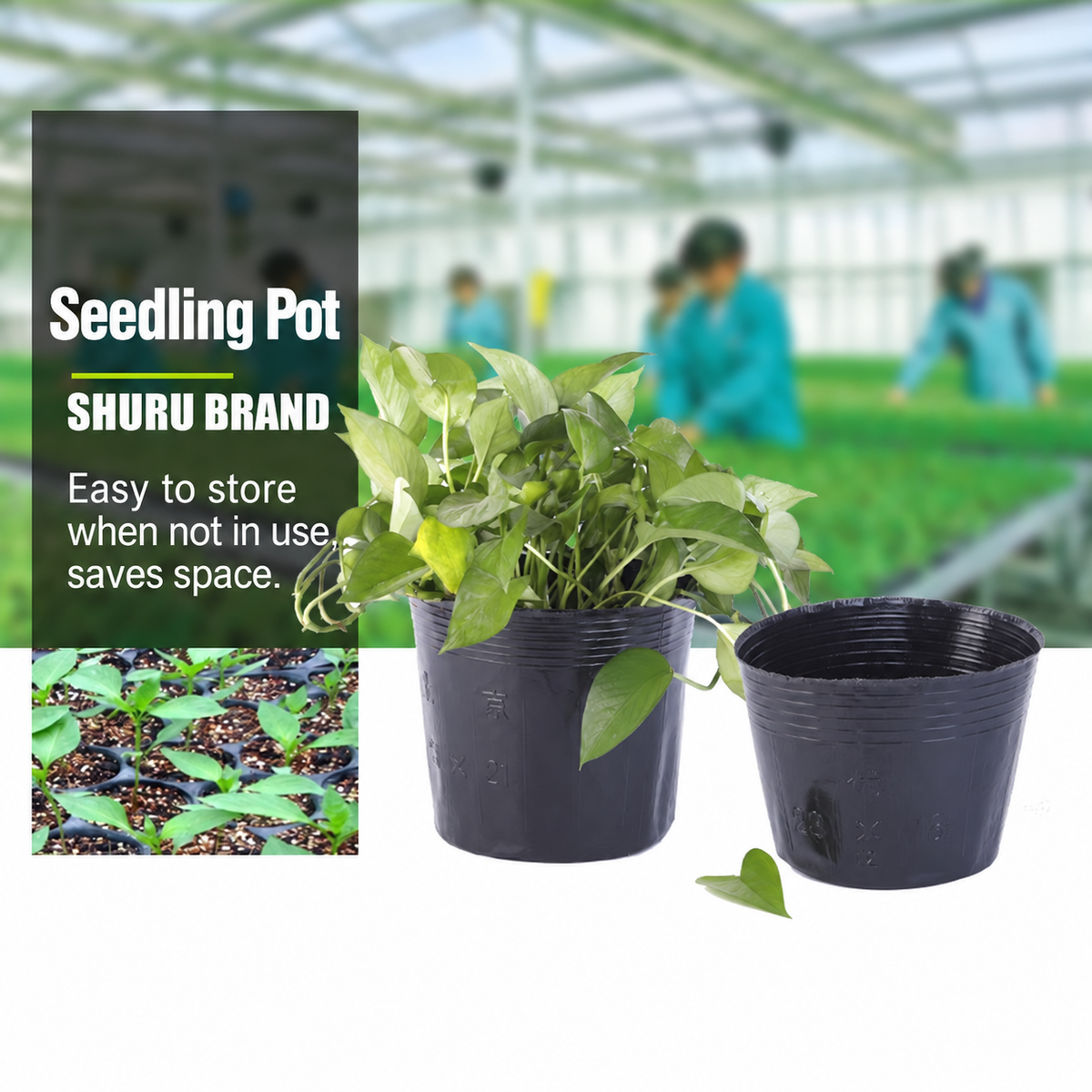Disposable Plastic Planting Flower Pot Nutrition Bowl Seedling Cup Black Seedling Box Home Garden Grow Bags