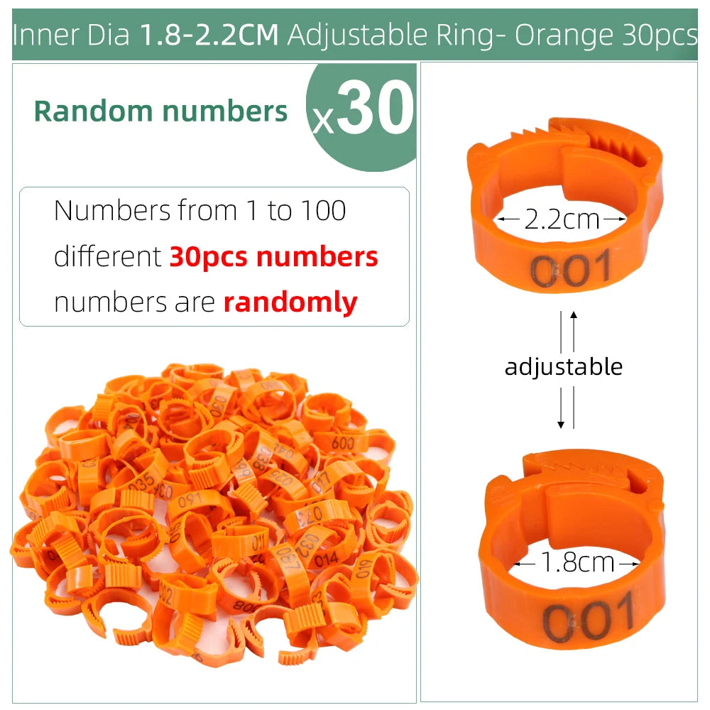 Numbered Poultry Leg Bands (30 pcs)