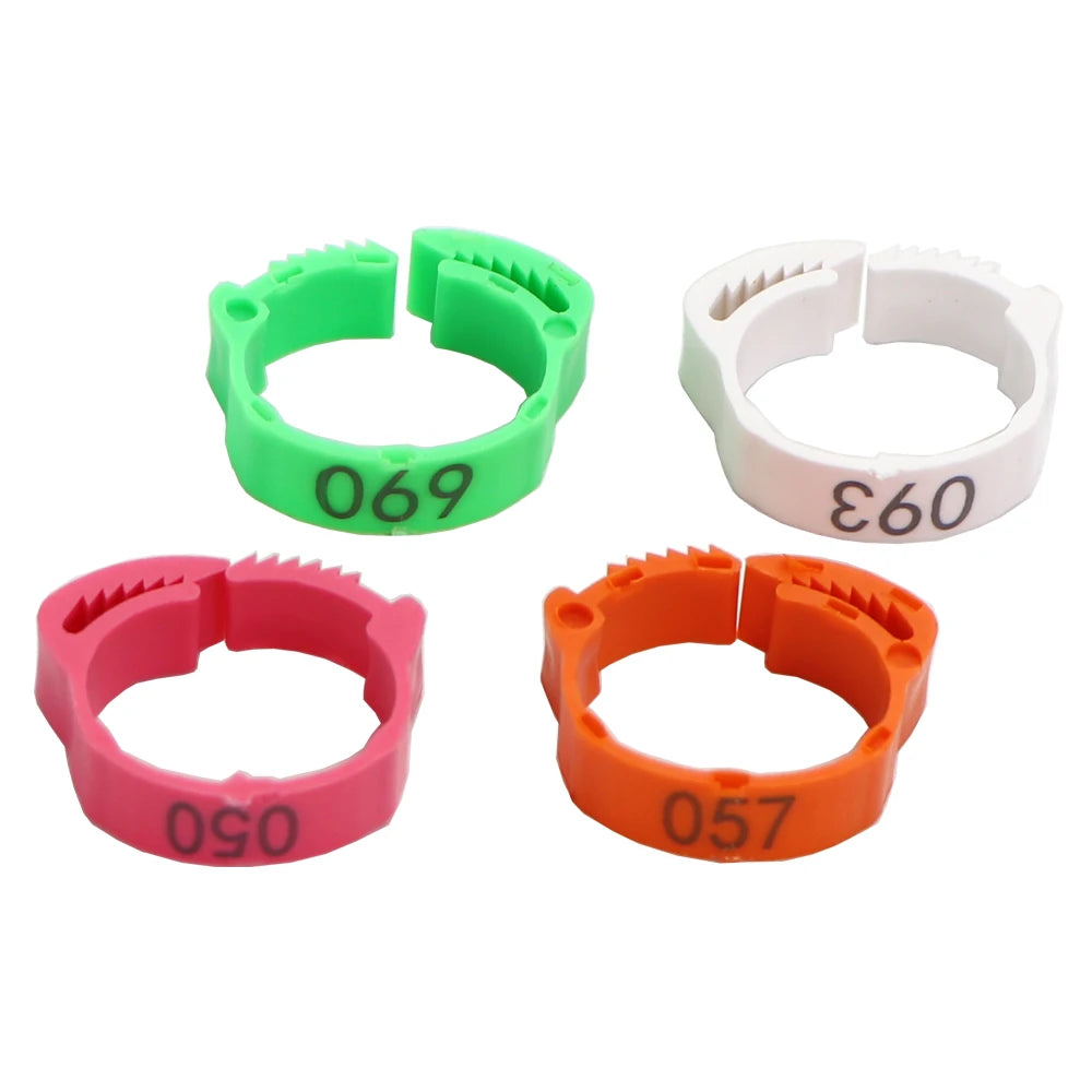 Numbered Poultry Leg Bands (30 pcs)