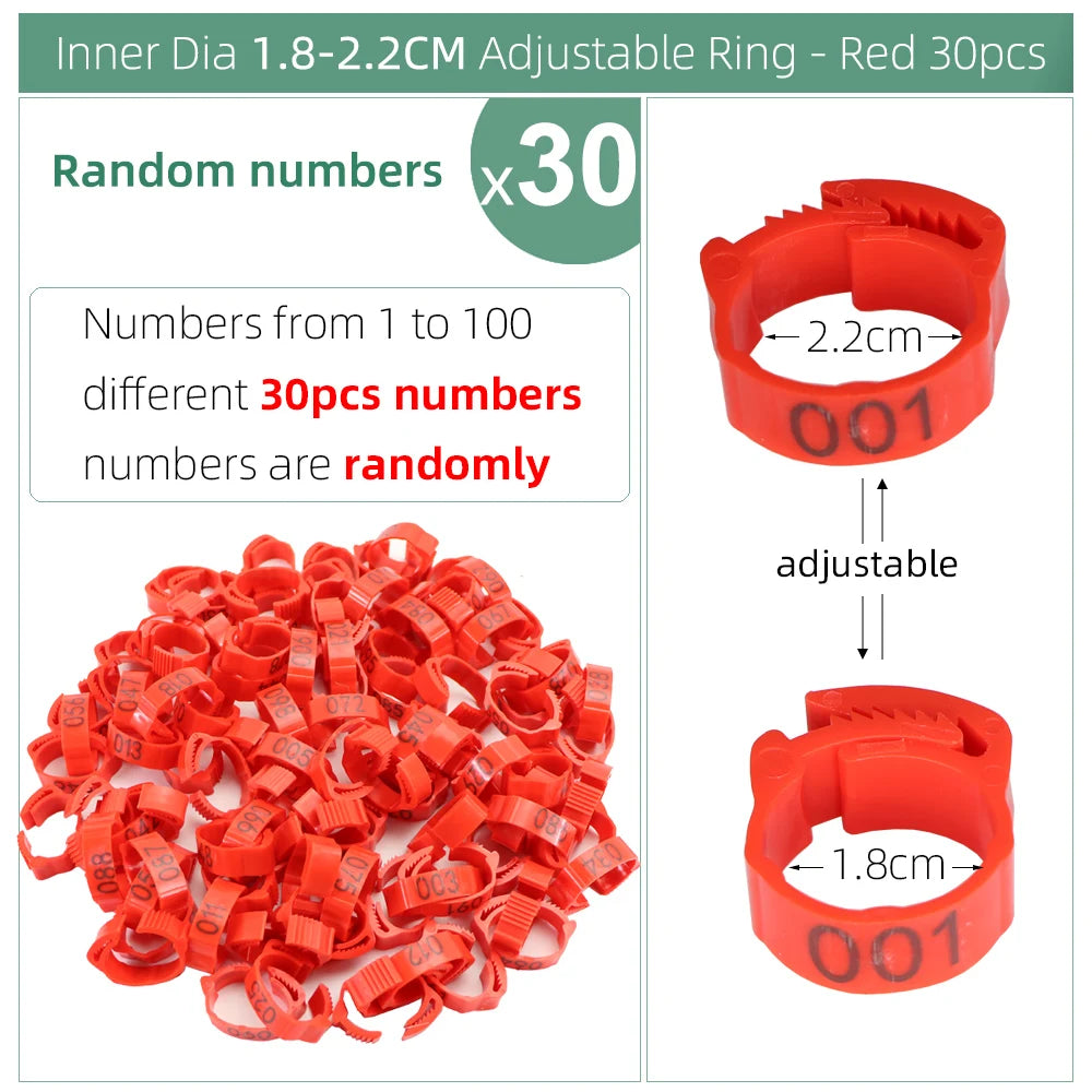 Numbered Poultry Leg Bands (30 pcs)